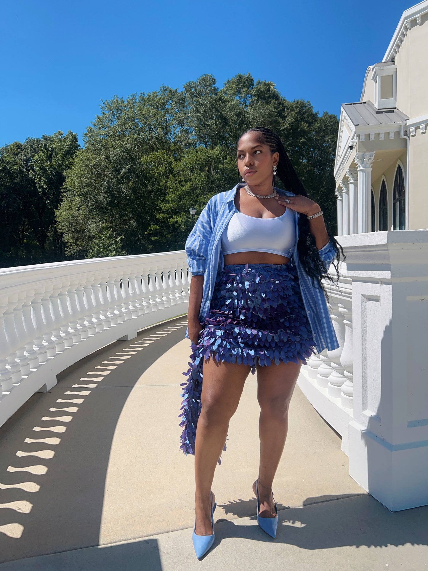Lavish skirt | fairy dust
